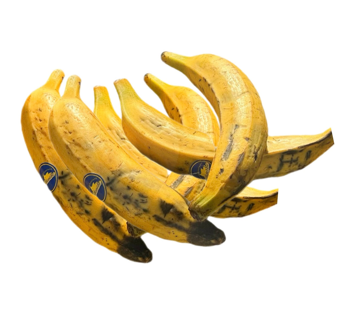 Plantain